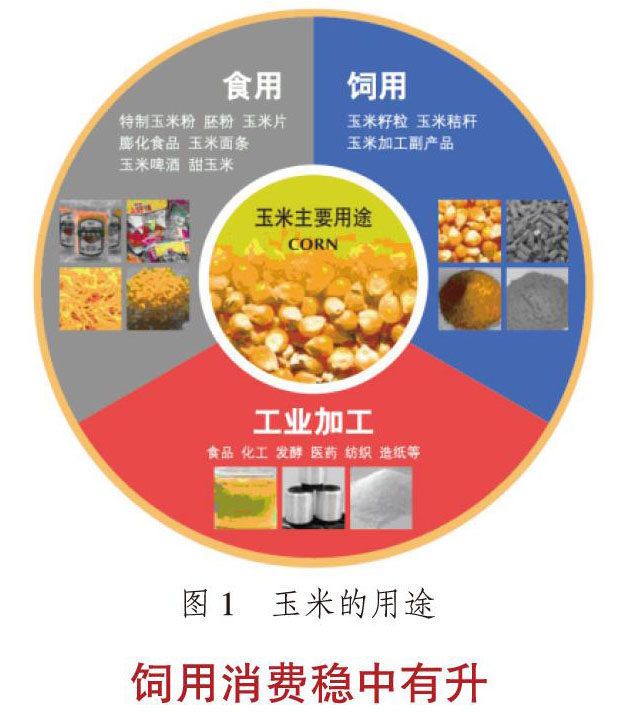 ���zoޛ�)j馟駽;�]8�`5�n�'~���i��i��y�4�O��i�Nt��t�N�ӯ��iߝ4�M�M4�F���