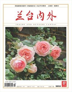 兰台内外