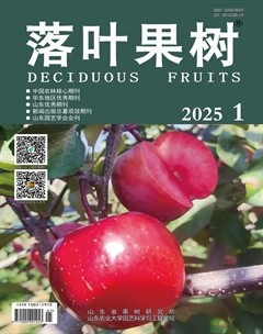 落叶果树