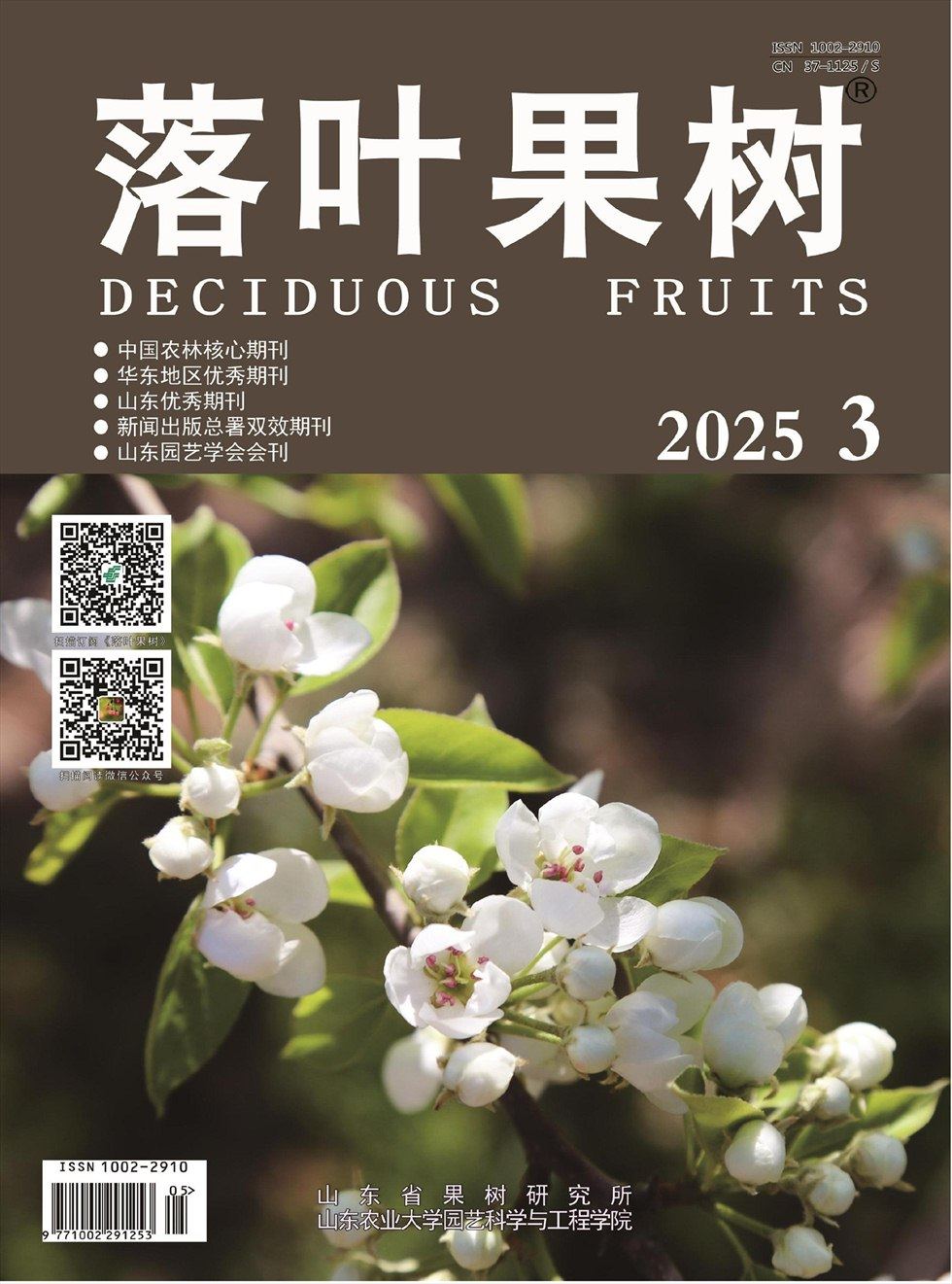 落叶果树