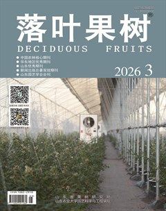 落叶果树