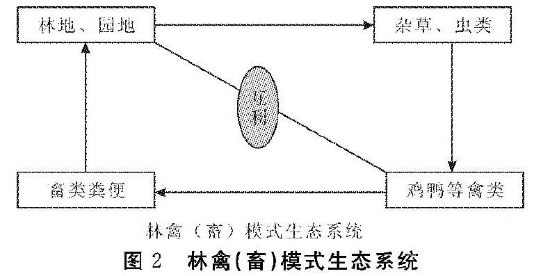 zoޛ)j馟iK{@׮8M{ӽ6]6u5vvNO