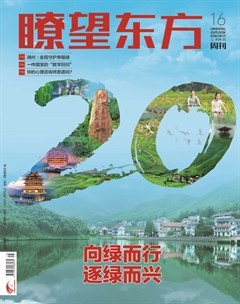 瞭望東方周刊