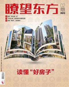 瞭望东方周刊