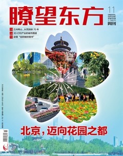 瞭望东方周刊