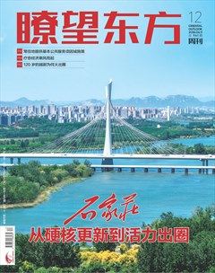 瞭望东方周刊