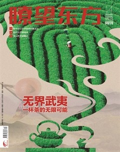 瞭望东方周刊