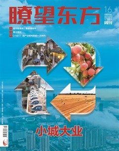 瞭望东方周刊