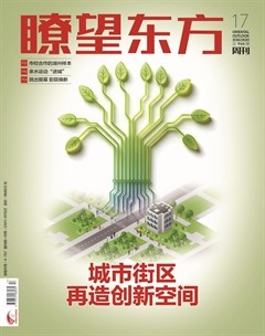 瞭望东方周刊