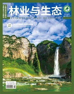 林业与生态
