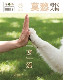 莫愁·时代人物