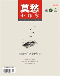 莫愁·小作家