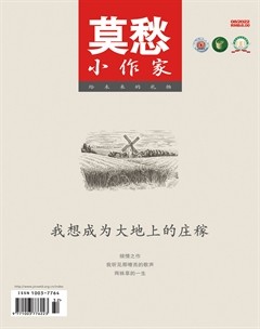 莫愁·小作家