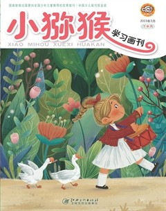 小猕猴学习画刊·下半月