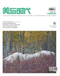 美与时代·城市版