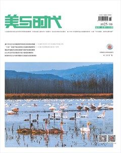 美与时代·城市版