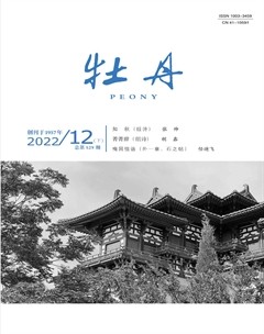 牡丹2022年第24期