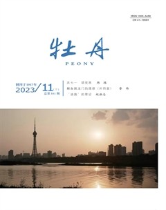 牡丹2023年第22期