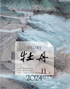 牡丹2024年第22期