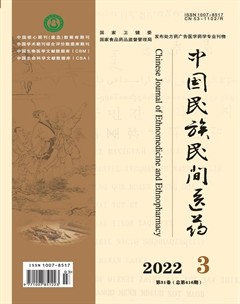 中国民族民间医药·上半月