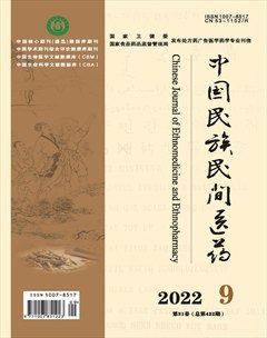 中國民族民間醫(yī)藥·上半月