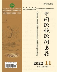 中国民族民间医药·上半月