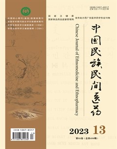 中国民族民间医药·上半月