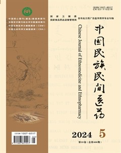 中国民族民间医药·上半月