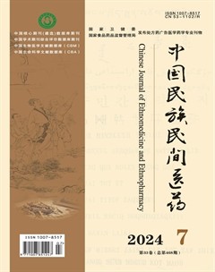 中国民族民间医药·上半月