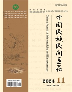 中国民族民间医药·上半月