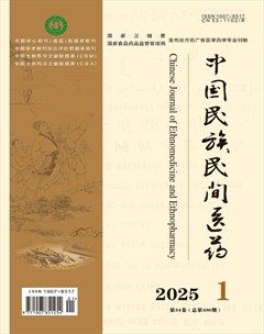 中国民族民间医药·上半月