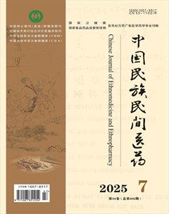 中国民族民间医药·上半月