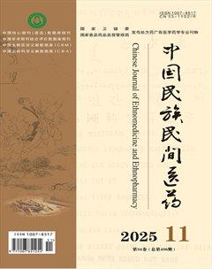 中国民族民间医药·上半月