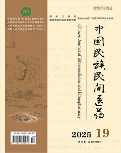 中国民族民间医药·上半月