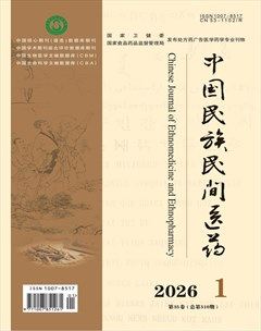 中国民族民间医药·上半月