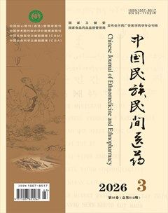 中国民族民间医药·上半月