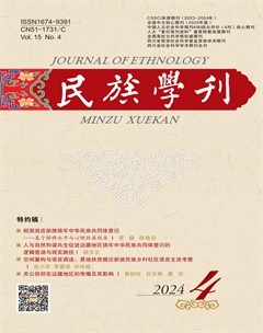 民族學(xué)刊