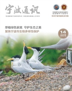 宁波通讯·下半月