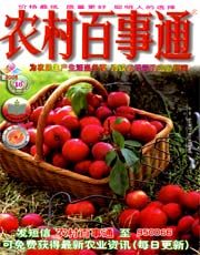 2005年第16期