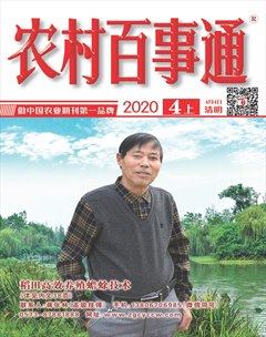 2020年第7期