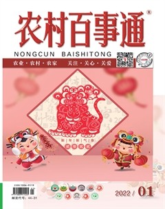 农村百事通