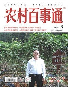 农村百事通