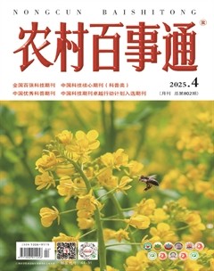 农村百事通
