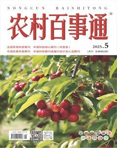 农村百事通