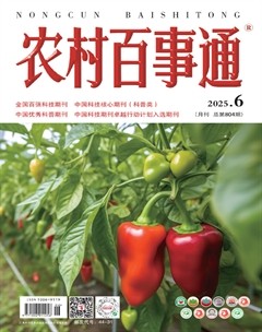 农村百事通
