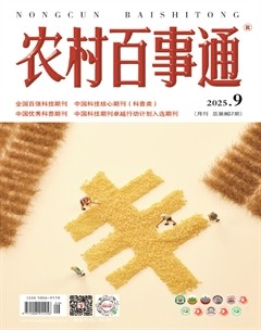 农村百事通
