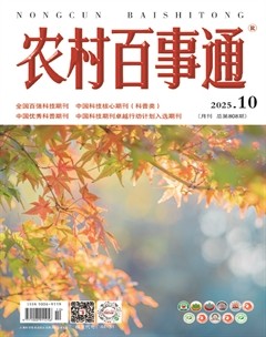农村百事通