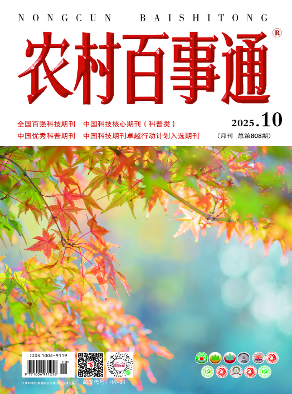 农村百事通