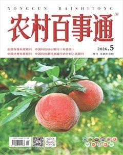 农村百事通