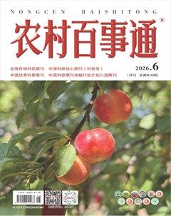 农村百事通